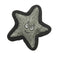 Snugarooz Kitty Starfish Cat Toy - Poudre Pet and Feed Supply